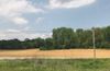 6249 N Highway 231 photo